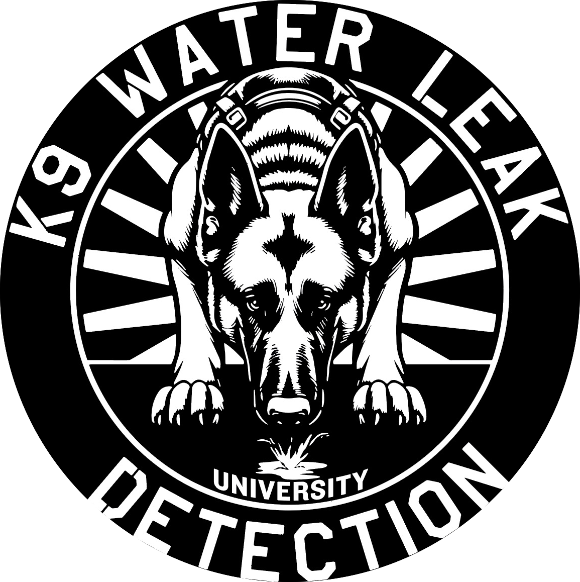 K9 Water Leak Detection University